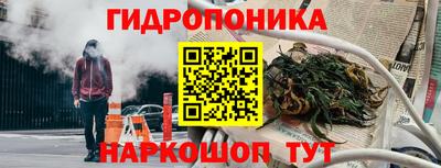 прущие грибы Краснознаменск