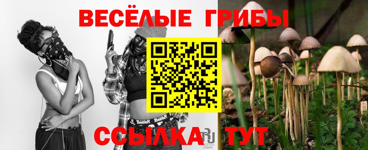Галлюциногенные грибы MAGIC MUSHROOMS Клин